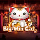 Big Win Cat game icon